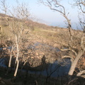IMG 0856