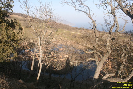 IMG 0856