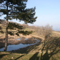 IMG 0857