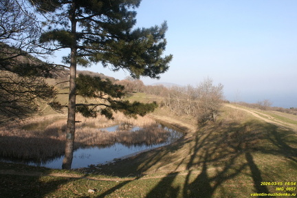 IMG 0857
