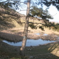 IMG 0858