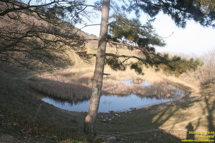 IMG 0858