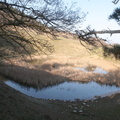 IMG 0859