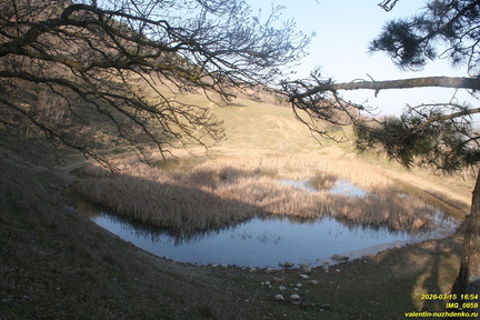 IMG 0859