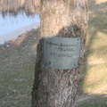 IMG 0860