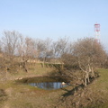 IMG 0862