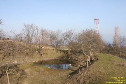 IMG 0862
