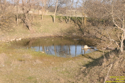 IMG 0863