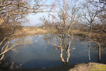 IMG 0865