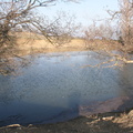 IMG 0866