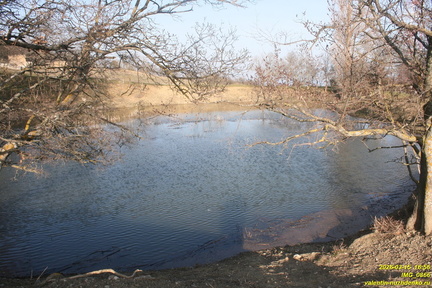IMG 0866