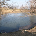 IMG 0867
