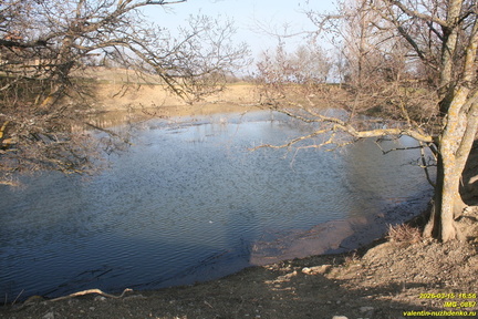 IMG 0867