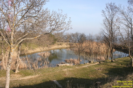 IMG 0868
