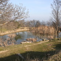 IMG 0869