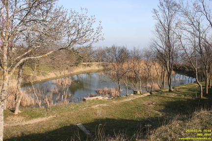 IMG 0869