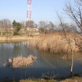 IMG 0871