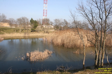 IMG 0871