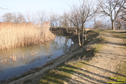 IMG 0872