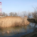 IMG 0873