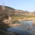 IMG 0874