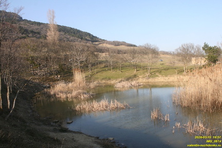 IMG 0874