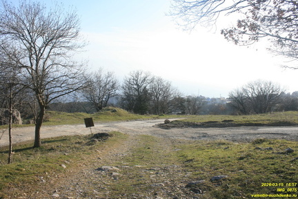 IMG 0875