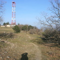 IMG 0876