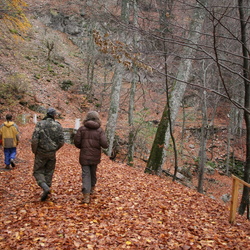 Исток Качи и район
