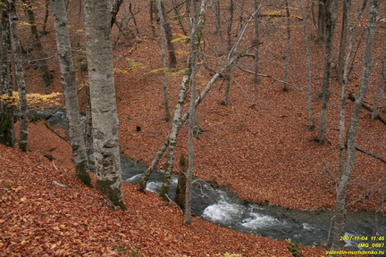 IMG 0687