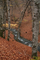 IMG 0688