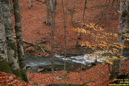 IMG 0689