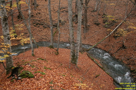 IMG 0690
