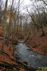 IMG 0692