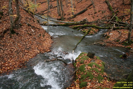 IMG 0702