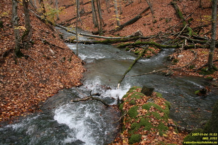 IMG 0703
