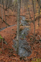 IMG 0704