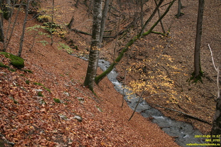 IMG 0705