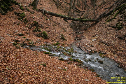 IMG 0706