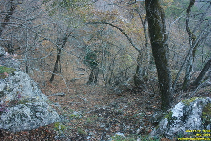 Теснина ур. Сказочное, между калиткой и площадкой над тесниной