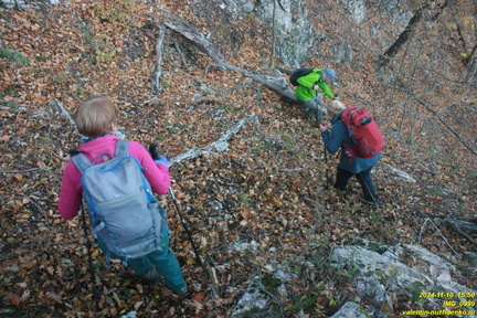 Теснина ур. Сказочное, между калиткой и площадкой над тесниной