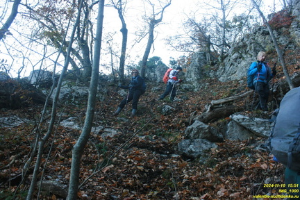 Теснина ур. Сказочное, между калиткой и площадкой над тесниной