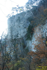 Теснина ур. Сказочное, между калиткой и площадкой над тесниной