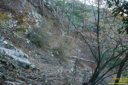 Теснина ур. Сказочное, между калиткой и площадкой над тесниной