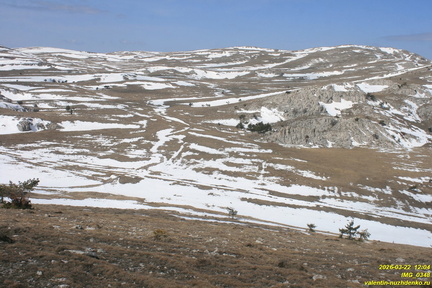 IMG 0348
