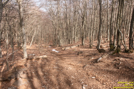 IMG 0662