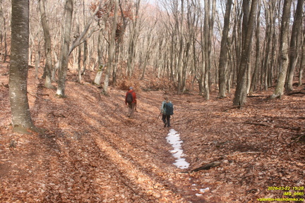 IMG 0665