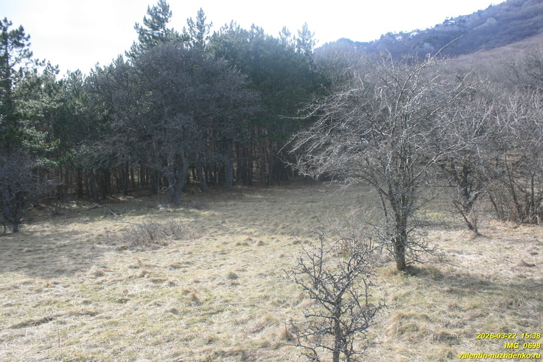 IMG_0698.JPG