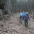IMG 1107