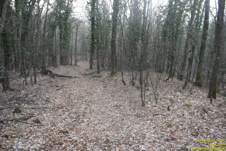 IMG_1109.JPG